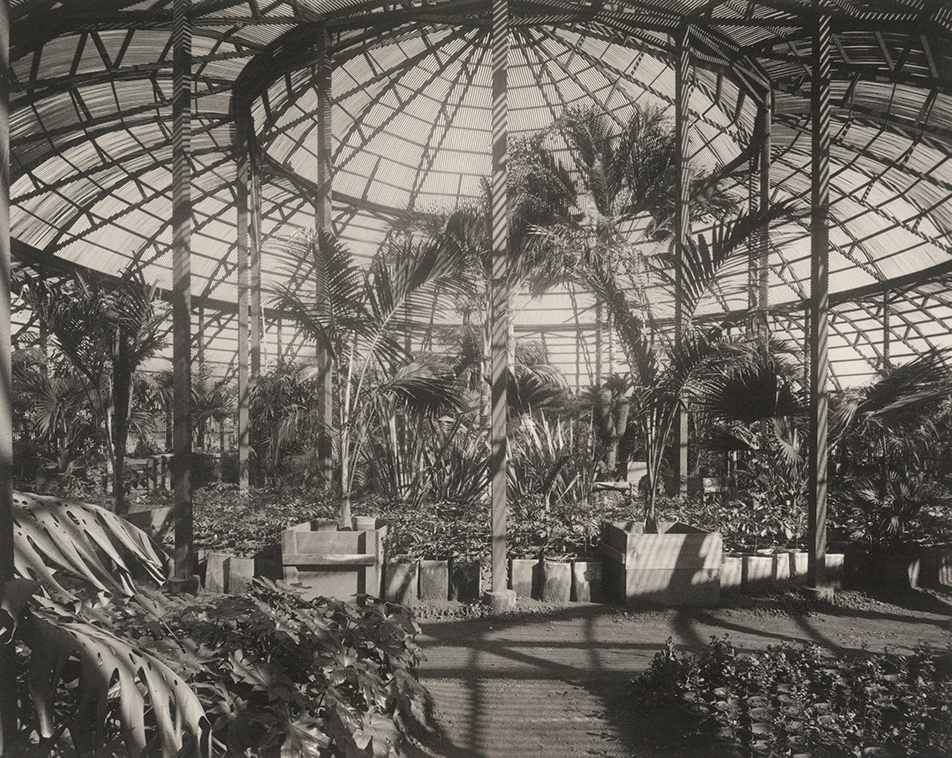 Interior of the lath house at Henry E. Huntington’s San Marino ranch. 