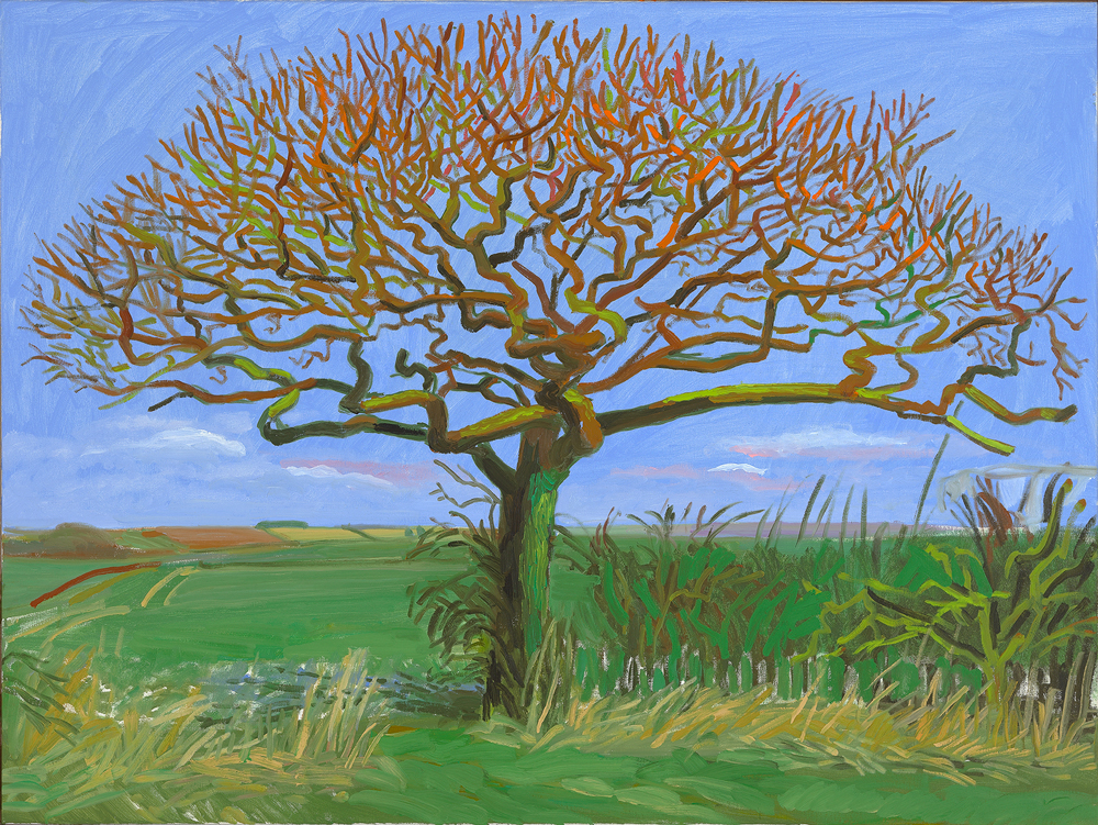 Painting of a bare tree, with many small branches, in a green field with a blue sky.