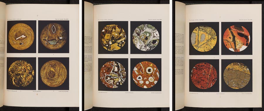 Three open books, each showing four microscopic images of deep-sea deposits.