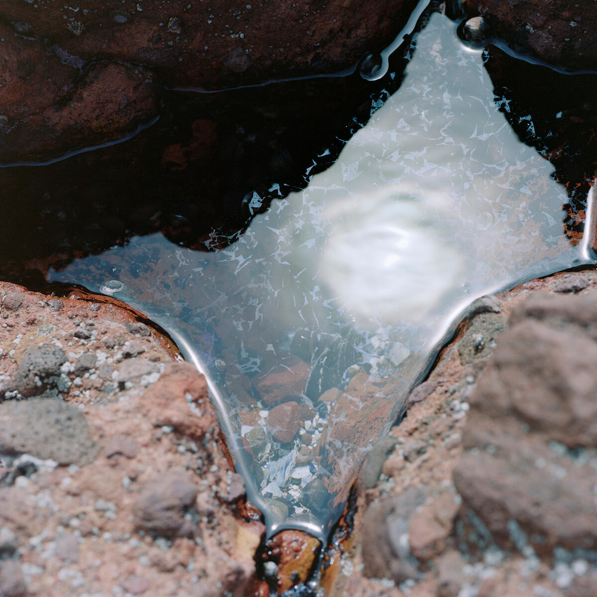 A pool of water, surrounded by rocks, reflects the sun.