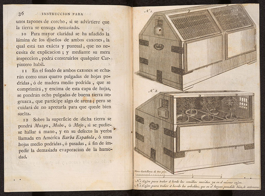 An open book with Spanish text on the left and drawings on the right of plant transport boxes.