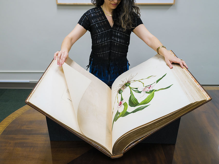 A person holds open an oversized book of orchid drawings.