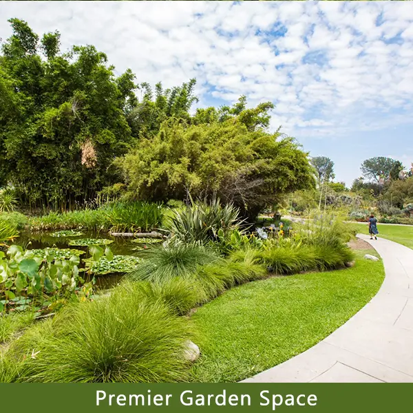 A circular walkway gently slopes around a lily pond.