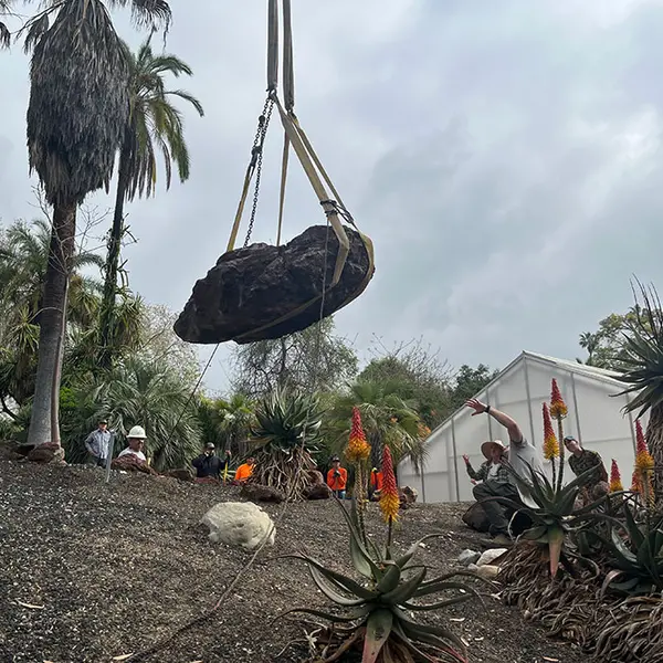 Workers directing the placement of a large boulder, held by a crane.