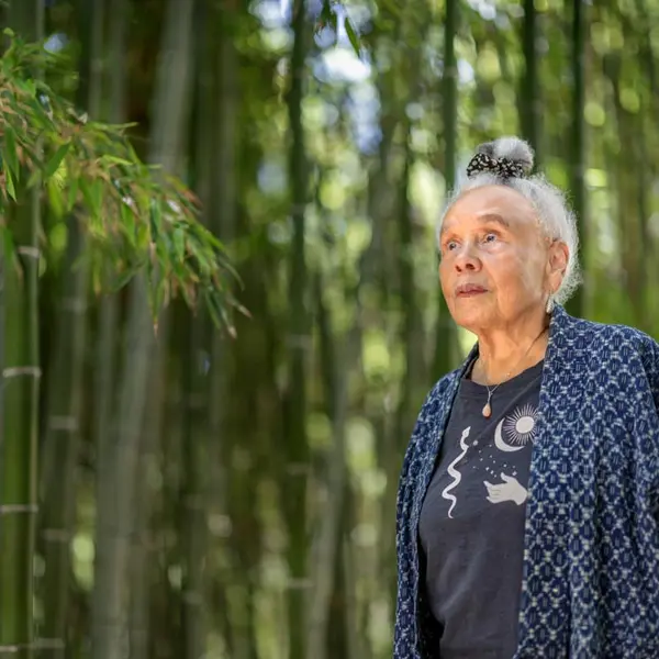 A person in a blue shirt looks toward the sky, standing in a green forest.