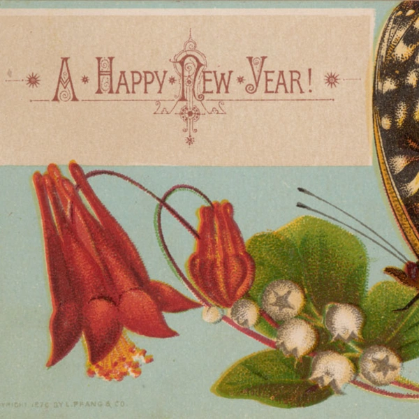 A greeting card illustration of a butterfly on a plant with berries and flowers.