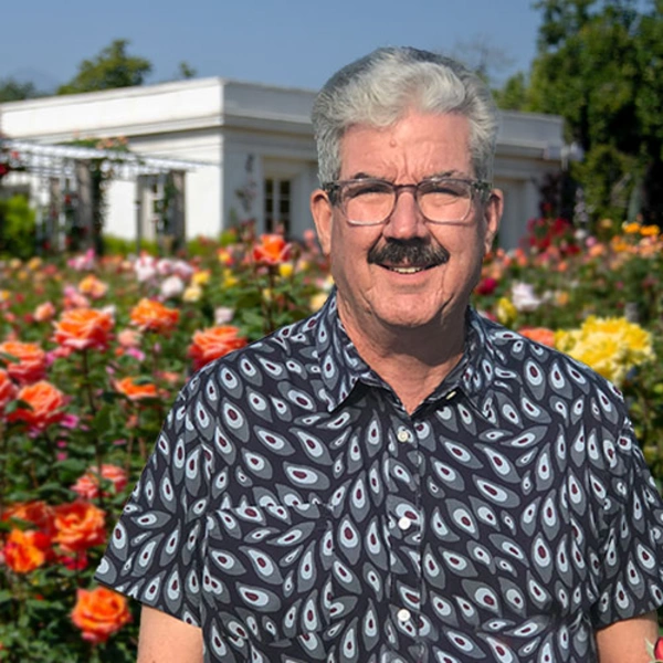 A person stands in a blooming rose garden.