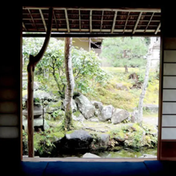 A small hill with trees and rocks viewed from the open doorway of a traditional Japanese tearoom.