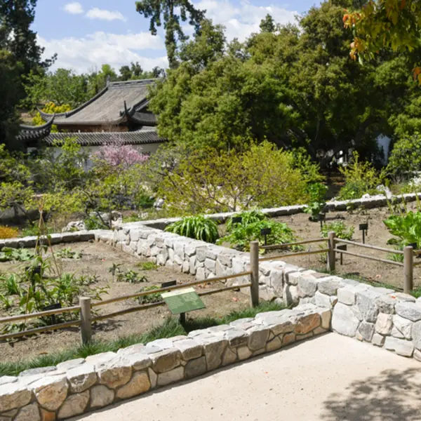 Raised beds made from stone in a Chinese-style garden.