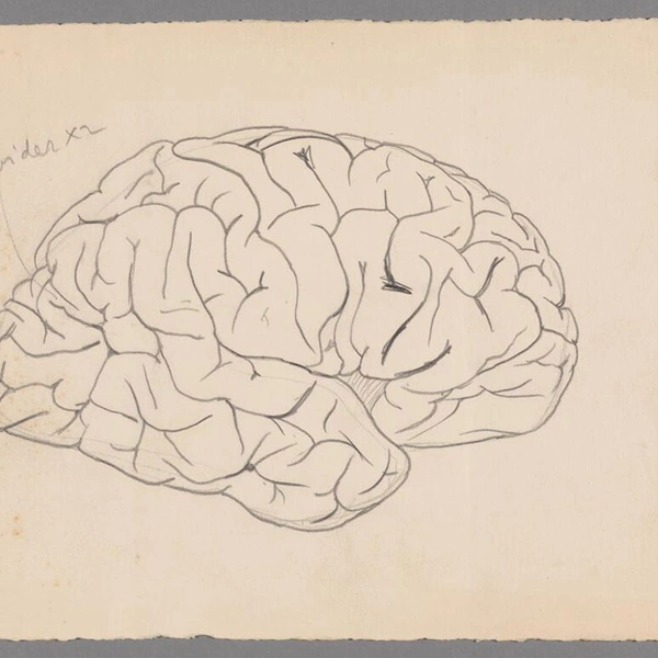 Pencil drawing of a side view of the human brain.