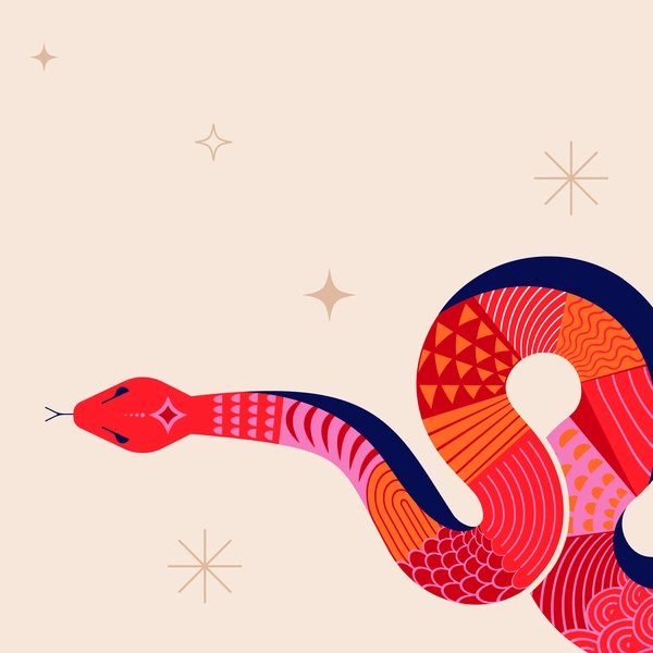 A stylized illustration of a snake with various red, pink, and orange patterns on its body.