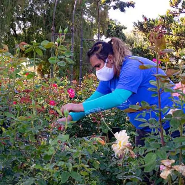 Reader Services Coordinator Karina Sanchez in the Rose Garden