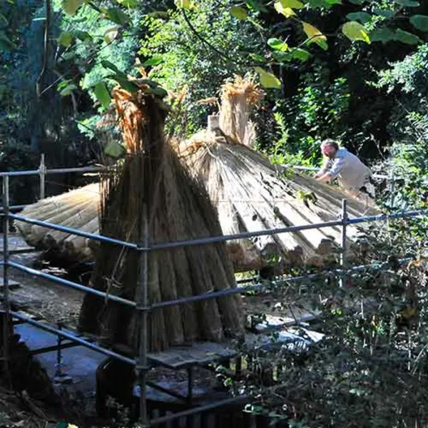 Thatcher William Cahill carefully places reeds on the roof of the Pavilion for Washing Away Thoughts (Di Lü Ting 滌慮亭). Photo by Andrew Mitchell.