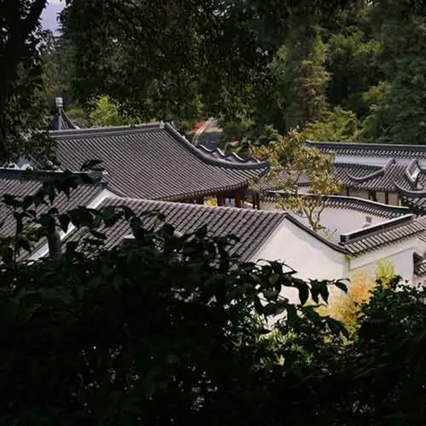 Liu Fang Yuan 流芳園, The Huntington’s Chinese Garden. Photo by John Sullivan.