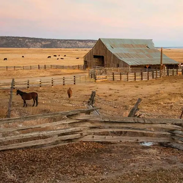 California ranch