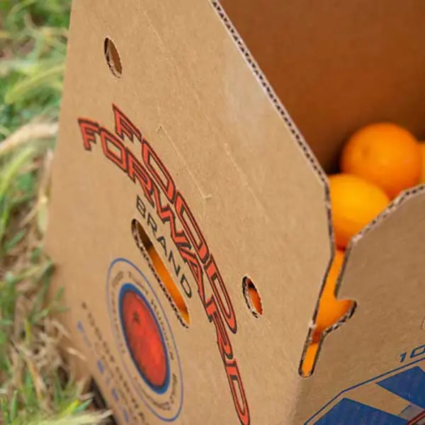 box of oranges