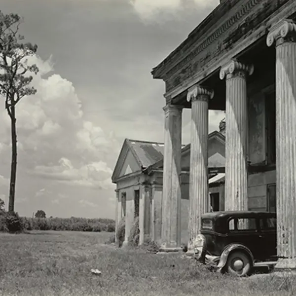 Photograph by Edward Weston