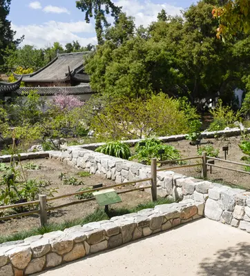 Raised beds made from stone in a Chinese-style garden.