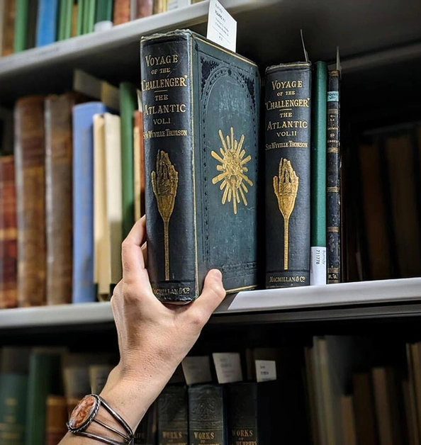 A hand reaches for a green, gold-gilded reference book on a library shelf.