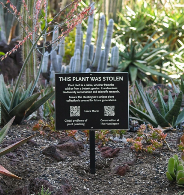 Desert Garden sign that says, “This Plant Was Stolen,” with QR codes for more info.