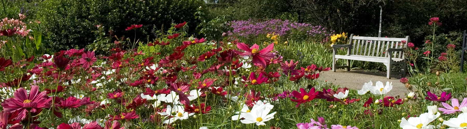 bench in the middle of a flower bed