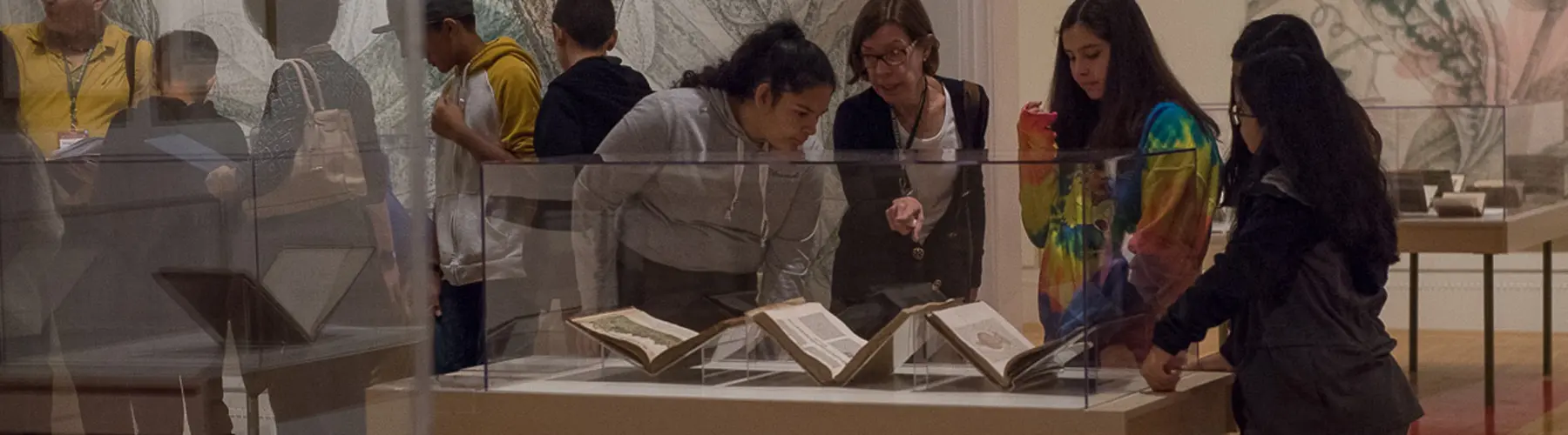 A group of people look at books on display in a gallery.