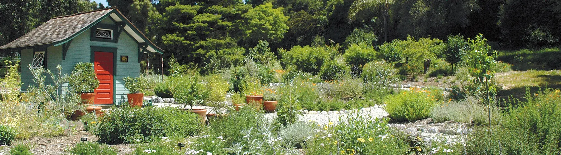 Ranch Garden