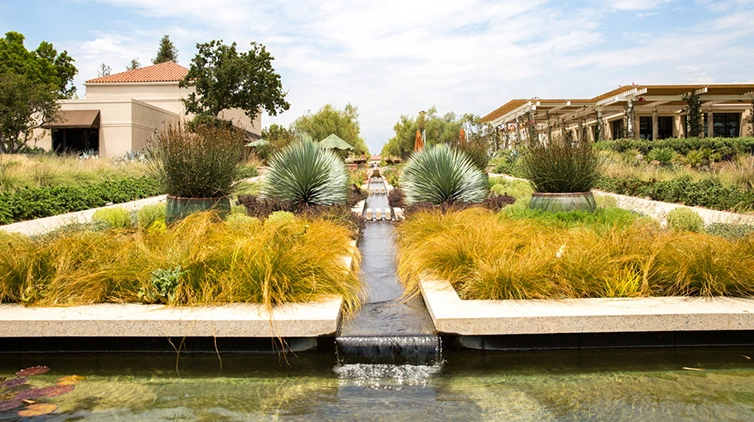  Celebration Garden during the day