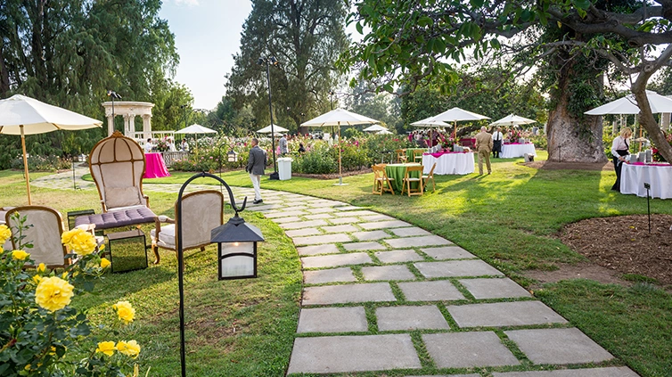 A walkway gently curves to the left through a rose-filled lawn filled with small tables, chairs, and umbrellas.