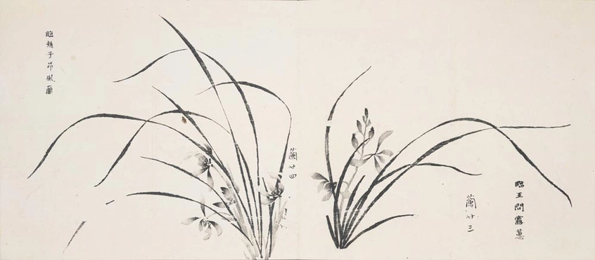 Black ink brush painting of blooming orchids with instructional text in Chinese.