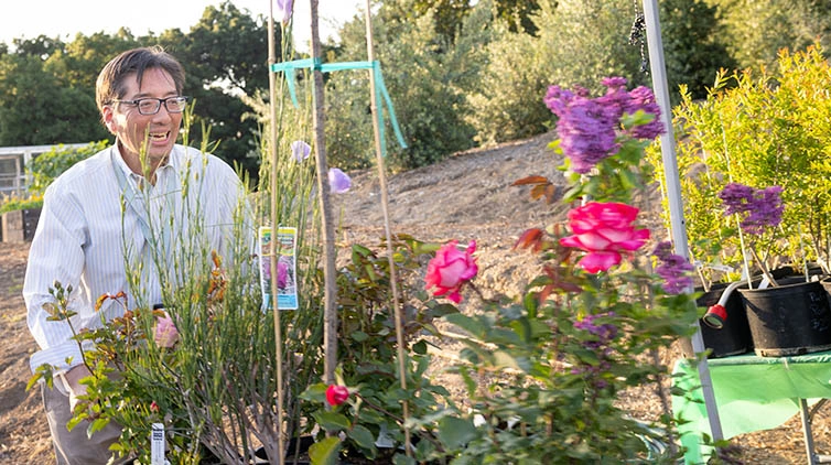 A smiling patron pushing a cart full of flower plants.