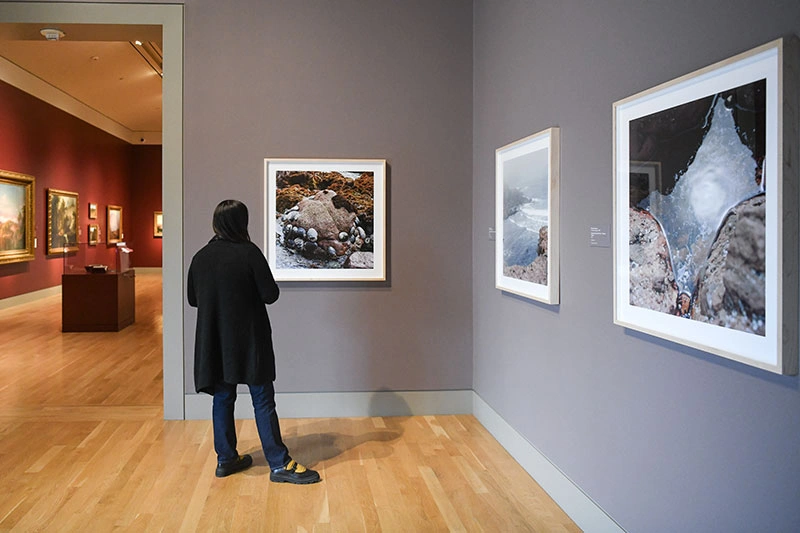 A person looks at a framed photo on a gallery wall.