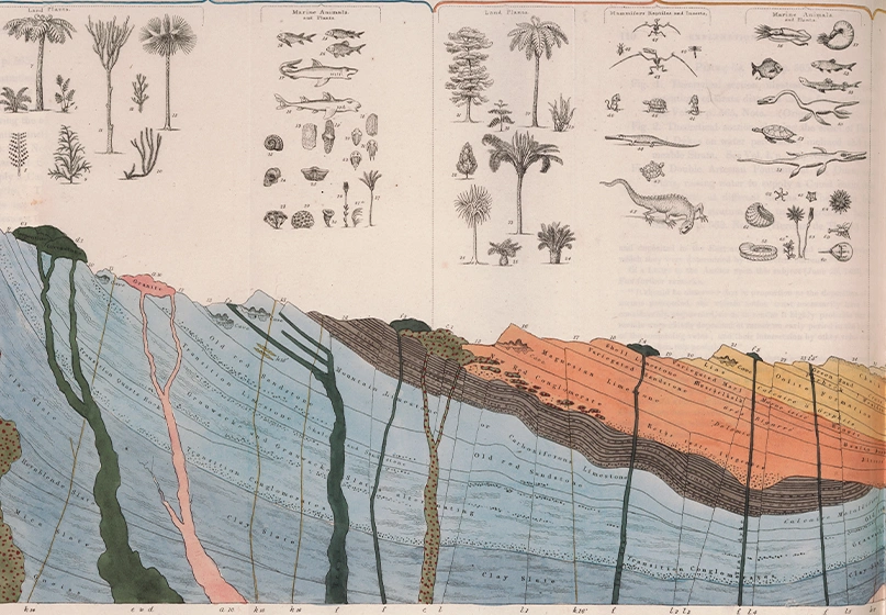 An engraved print in full color, depicting a cross-section of earth, with various rocks, minerals, plants, and animals.