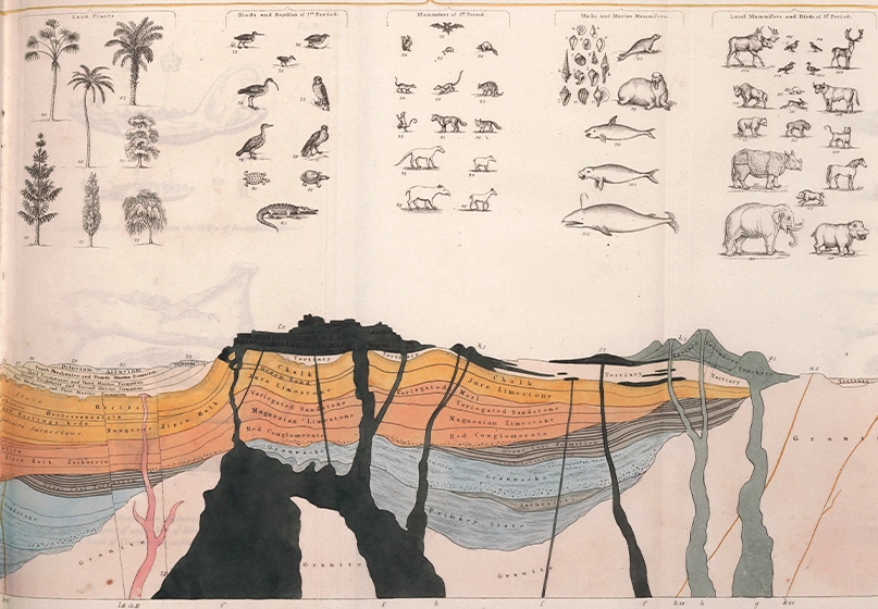 An engraved print in full color, depicting a cross-section of earth, with various rocks, minerals, plants, and animals.