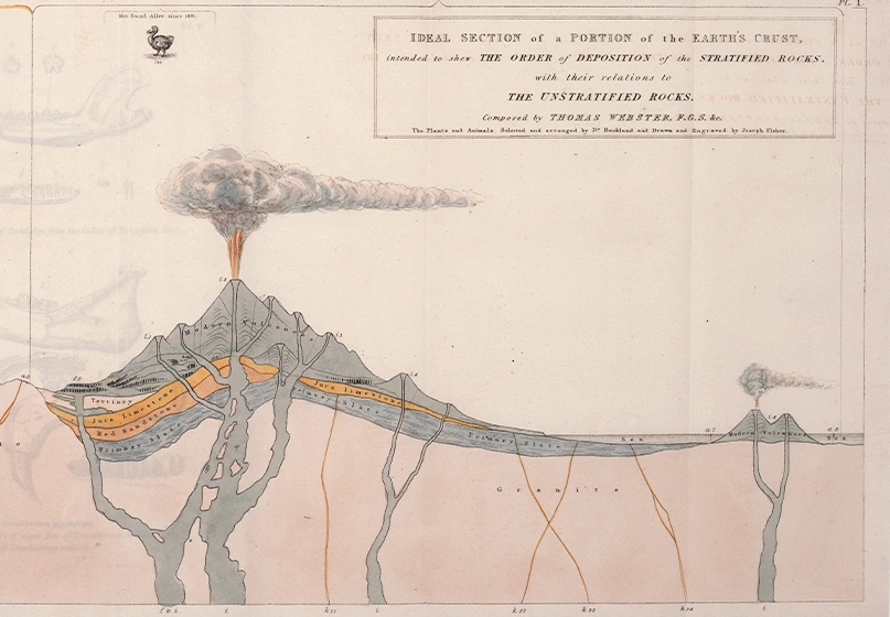 An engraved print in full color, depicting a cross-section of earth, with various rocks, minerals, plants, and animals.