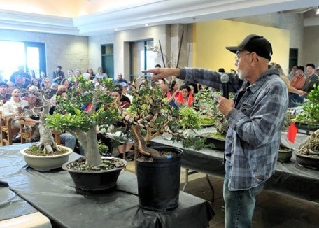 A person stands near potted plants on a stage in front of an audience.