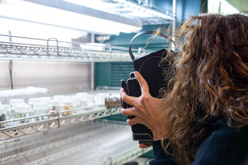 Beatriz Santiago Muñoz conducting research in the cryopreservation lab at The Huntington. Photo: Kate Lain. The Huntington Library, Art Museum, and Botanical Gardens.