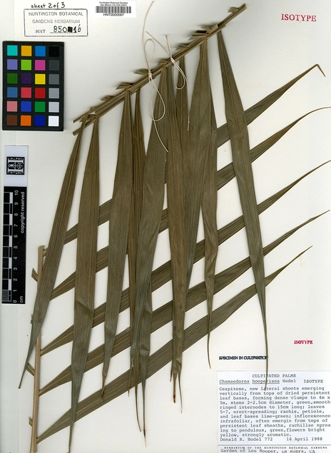 herbarium_3.jpg