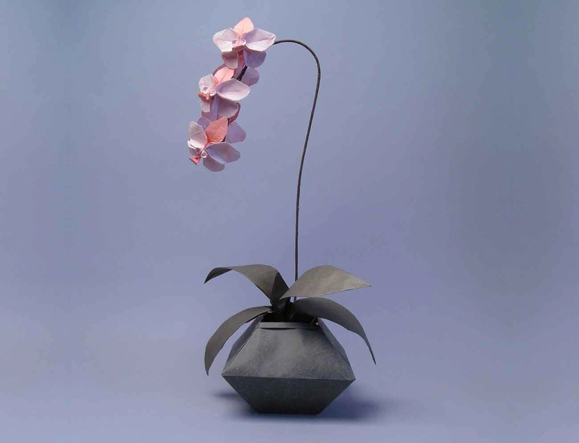 Orchid, by Robert J. Lang. 2002.