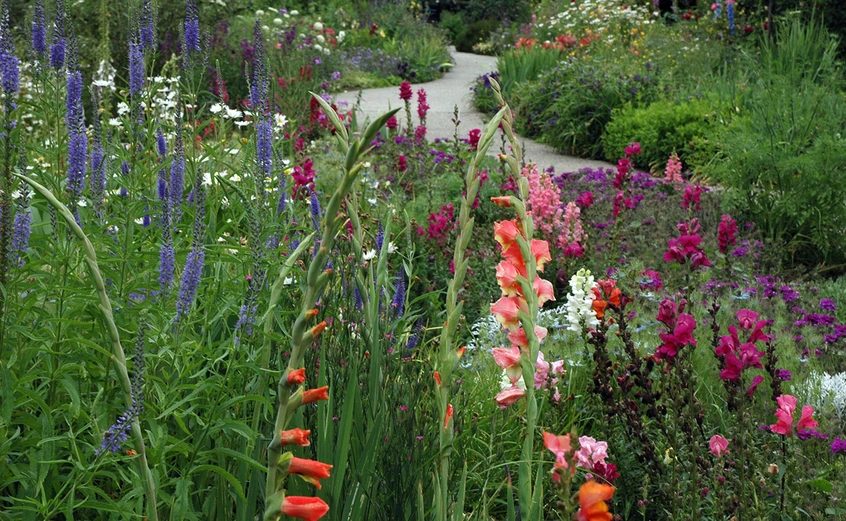 pink, purple, and white blooms in the Shakespeare Garden