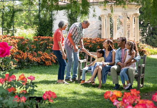 A family is gathered at a bench in a rose garden.