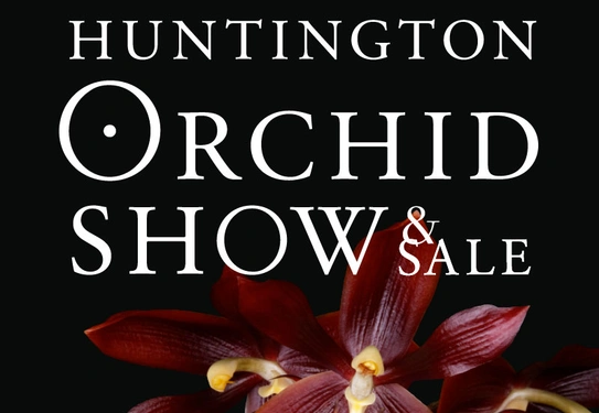 A vibrant, deep-red orchid over a black background with text that says "8th Annual International Huntington Orchid Show & Sale."