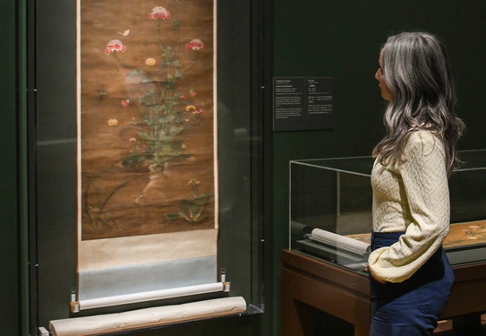 A person looks at a traditional Chinese scroll painting.