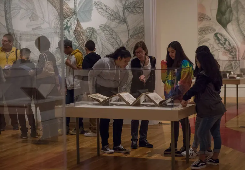 A group of people look at a display of books in a museum.