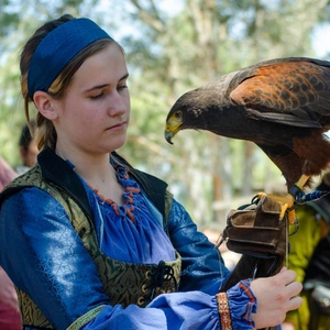 A person in a blue outfit holds a falcon, which rests on their hand.