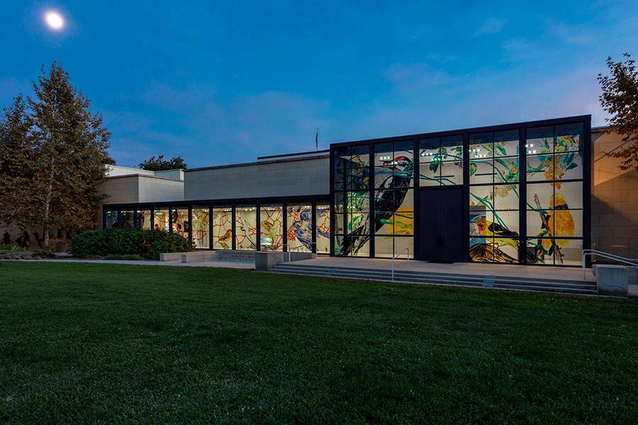 A view at dusk of the exterior of an art gallery's windows lit up from inside. Painted drawings can be seen on the glass.