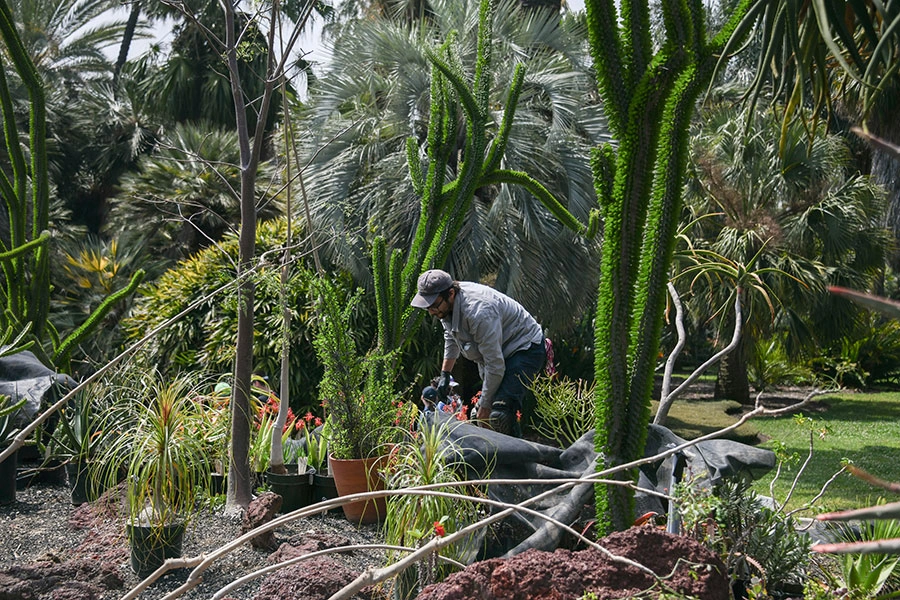 A gardener prepares potted plants to be placed in a new landscape.