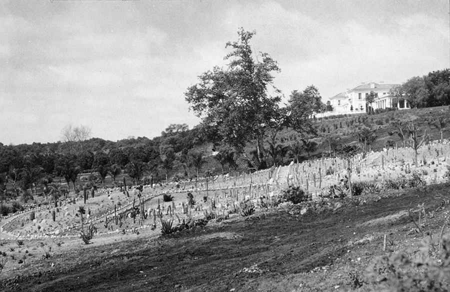 A black-and-white photo of the Desert Garden, with a large home on a hill in the distance.