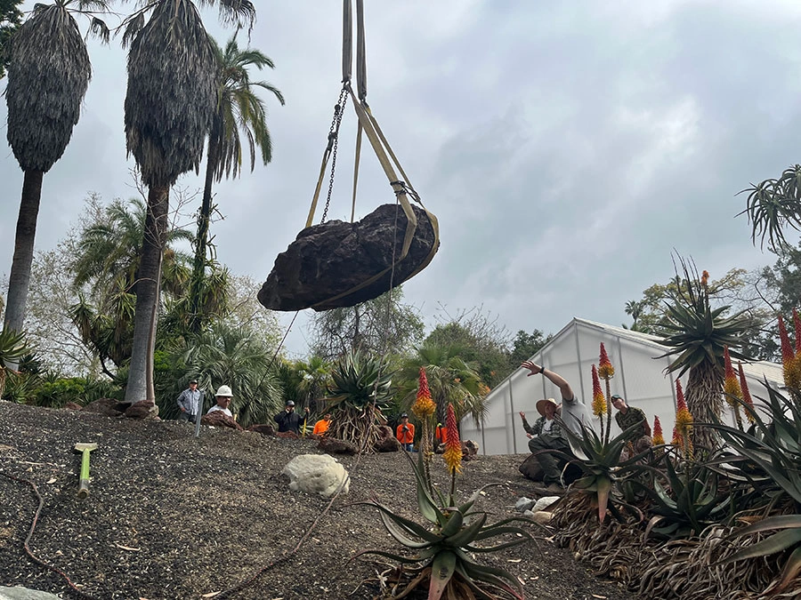 Workers directing the placement of a large boulder, held by a crane.