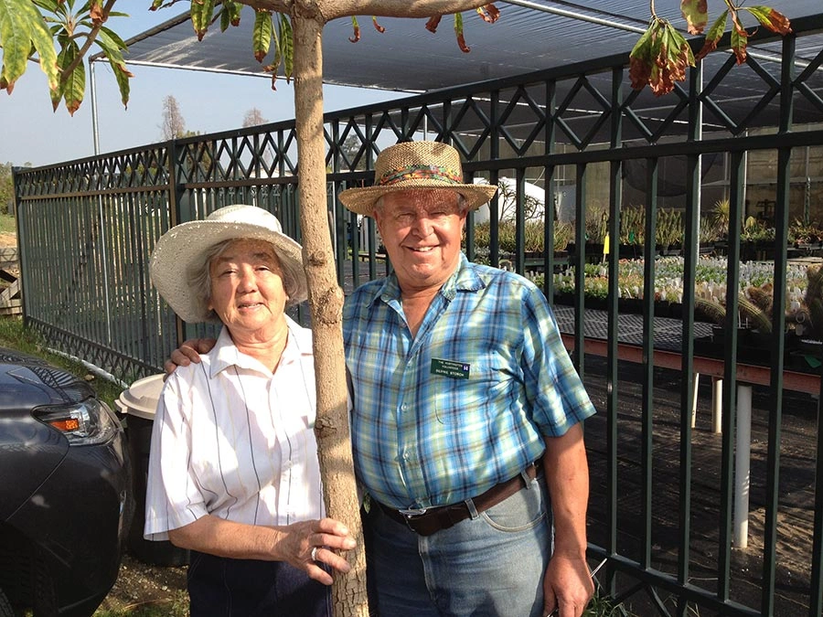 Two people stand next to a tree with a thin trunk.